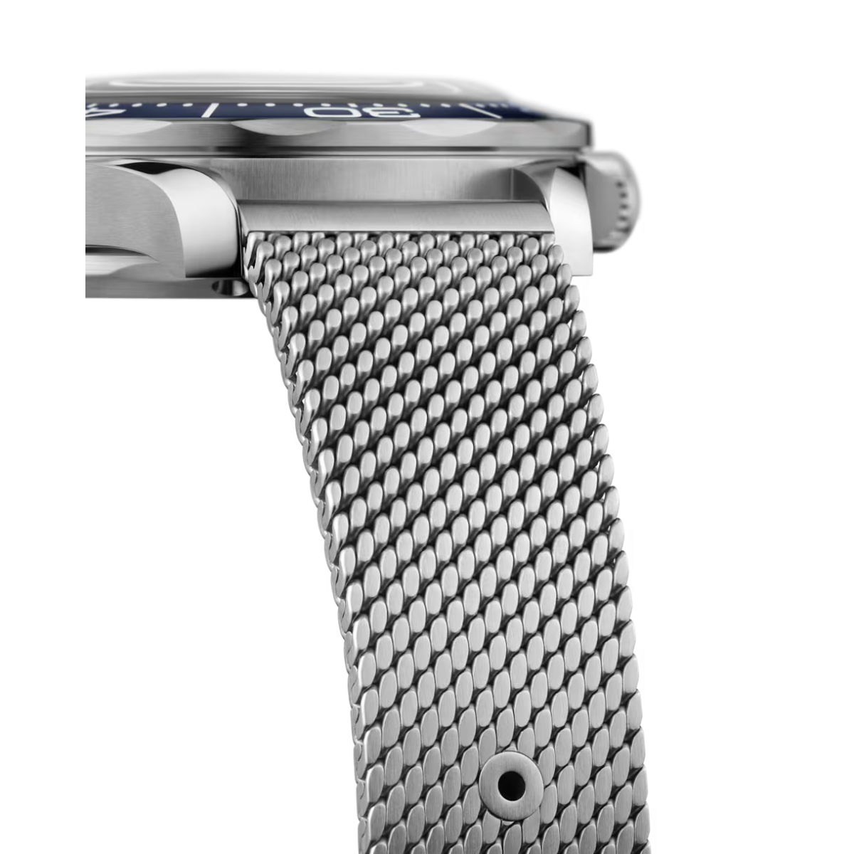 Omega Seamaster Diver 300M